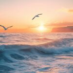 Mastering How to Photograph the Ocean: A Complete Guide to Shooting Seabirds and Marine Creatures